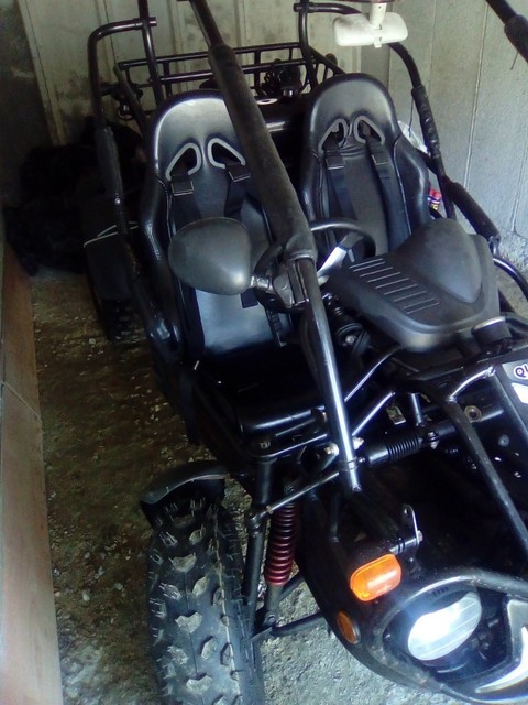 pgo quadzilla 250e buggy